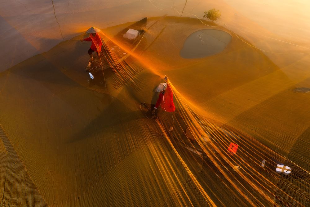 Photograph by Nghi Le