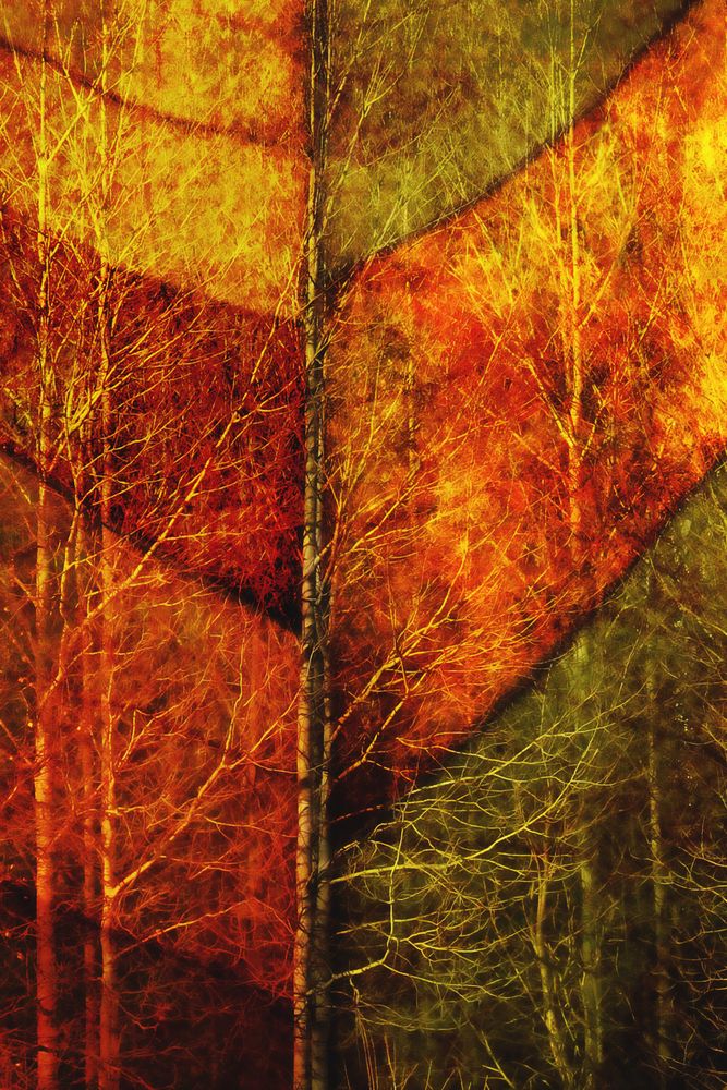 Photograph by Гагик Мхитарян