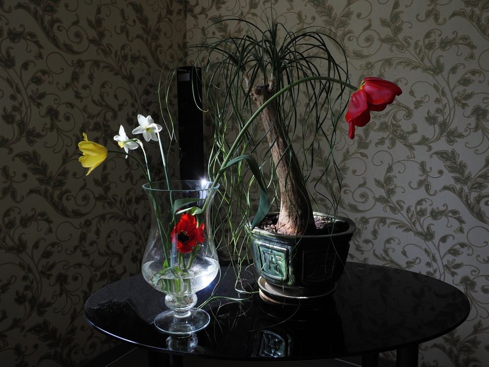 Photograph by николай зайцев