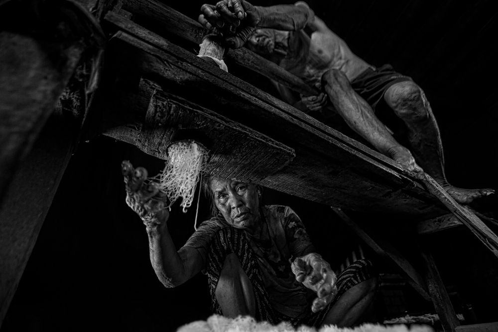 Фотография автора Minh Tho Phan