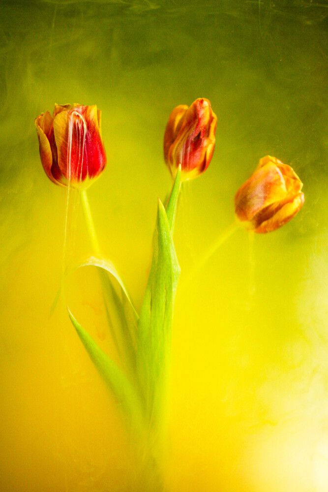 Photograph by Kuryakova Elizaveta