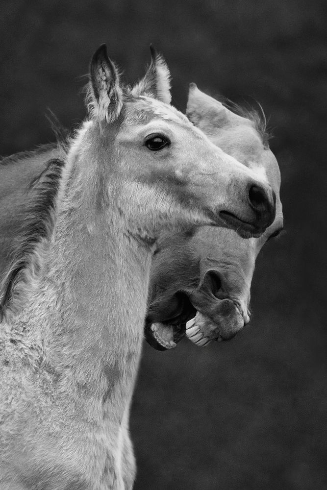 Photograph by Макари Лия