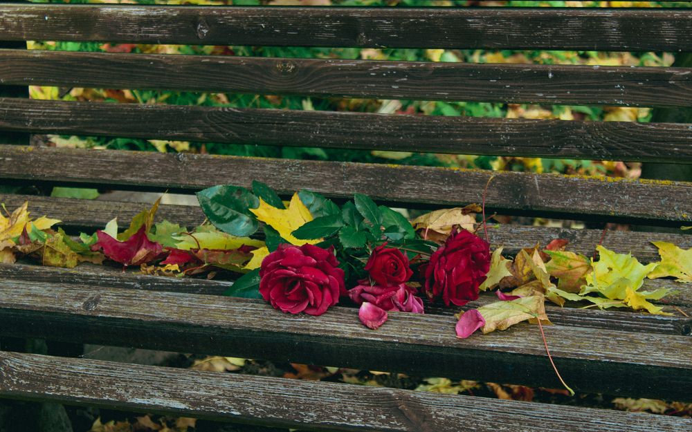 Осень в саду