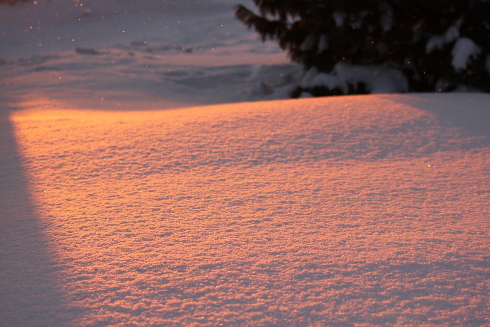 Photograph by Марина Лосева