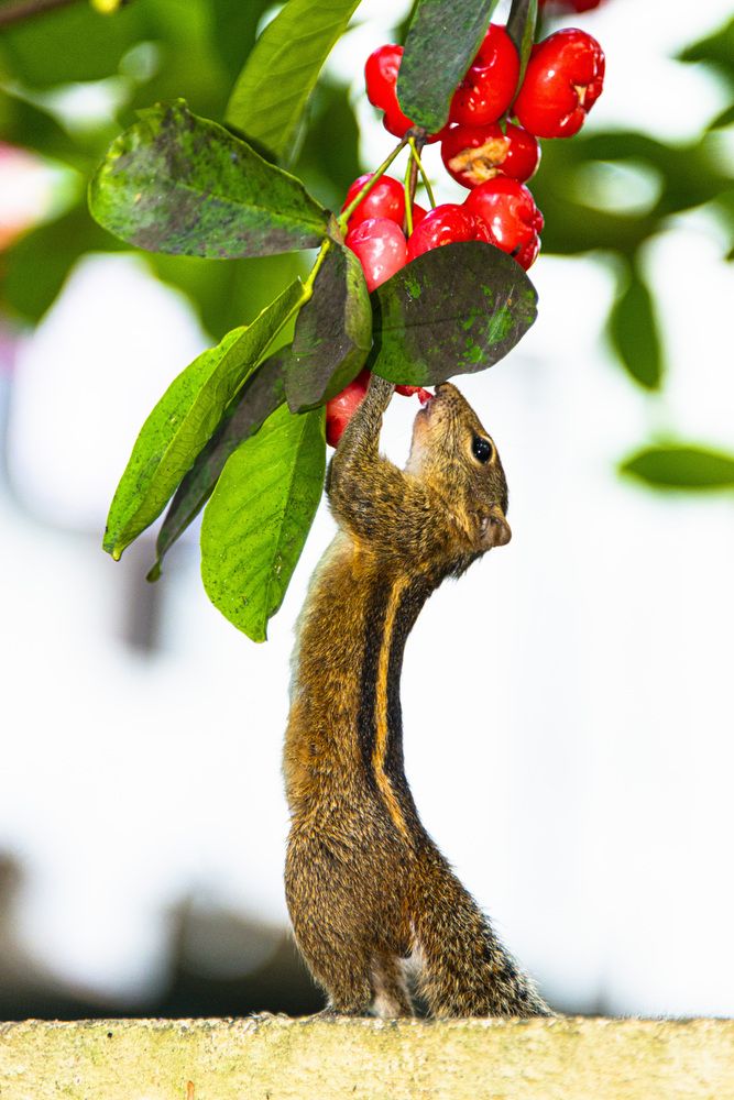 Photograph by Дмитрий Юдин