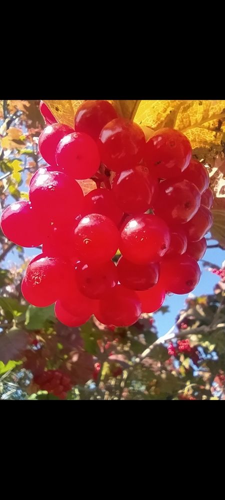 Photograph by Юрий Гордеев