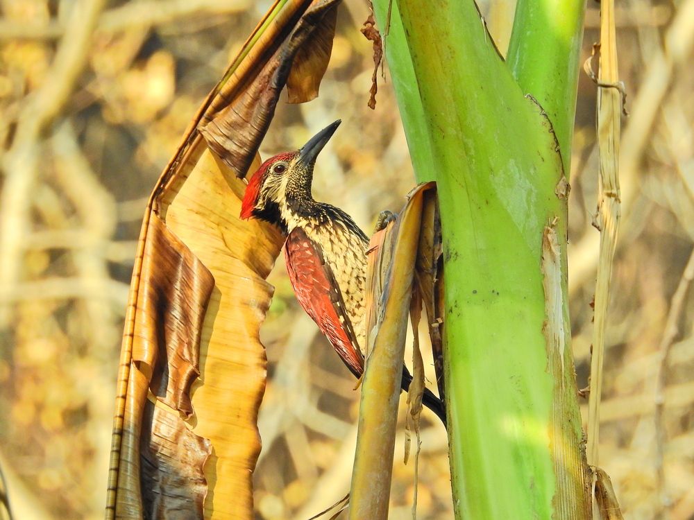 Photograph by Дмитрий Юдин