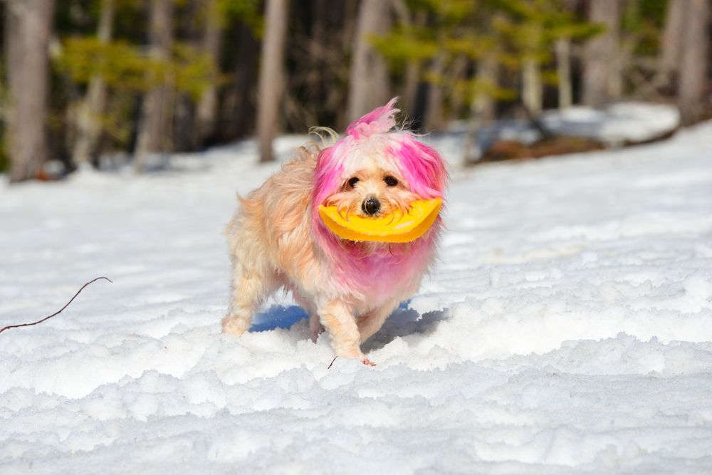 Photograph by Дмитрий Юдин