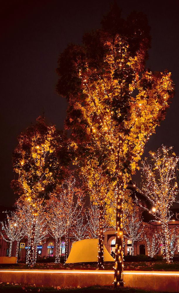 Photograph by Виталий Шелехов