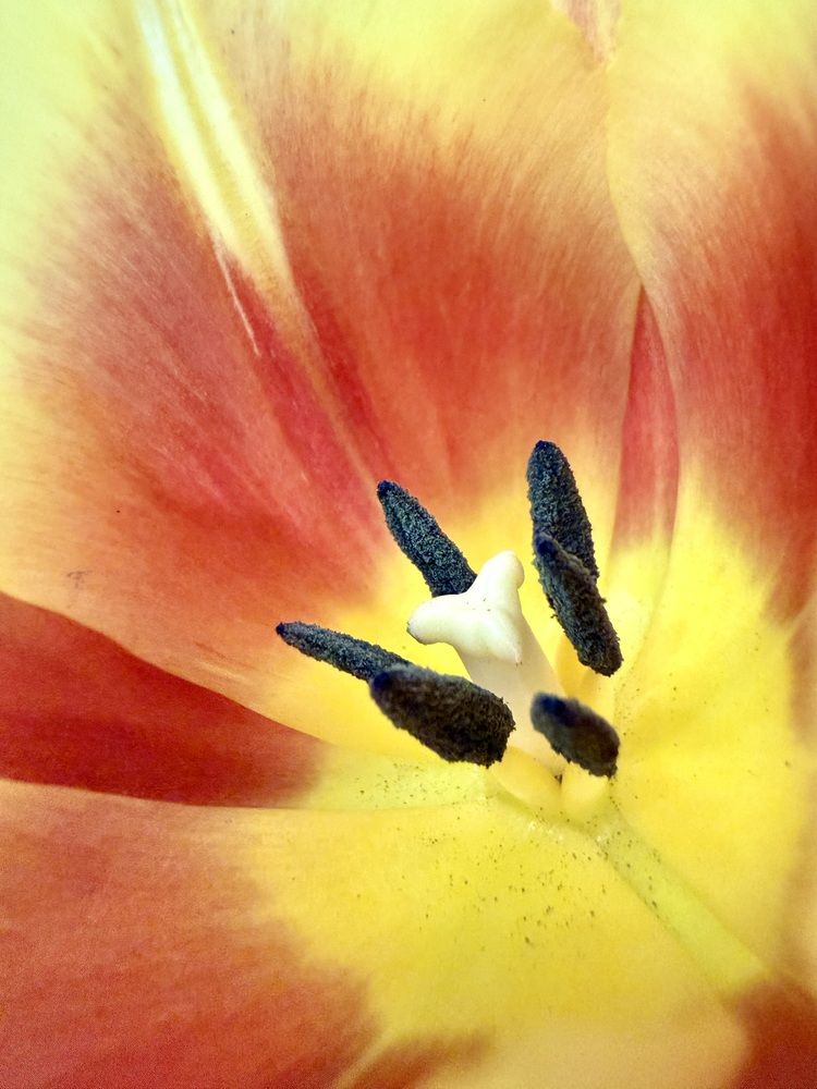 Photograph by Ирина Горная