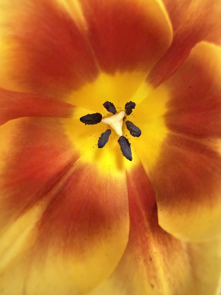 Photograph by Ирина Горная