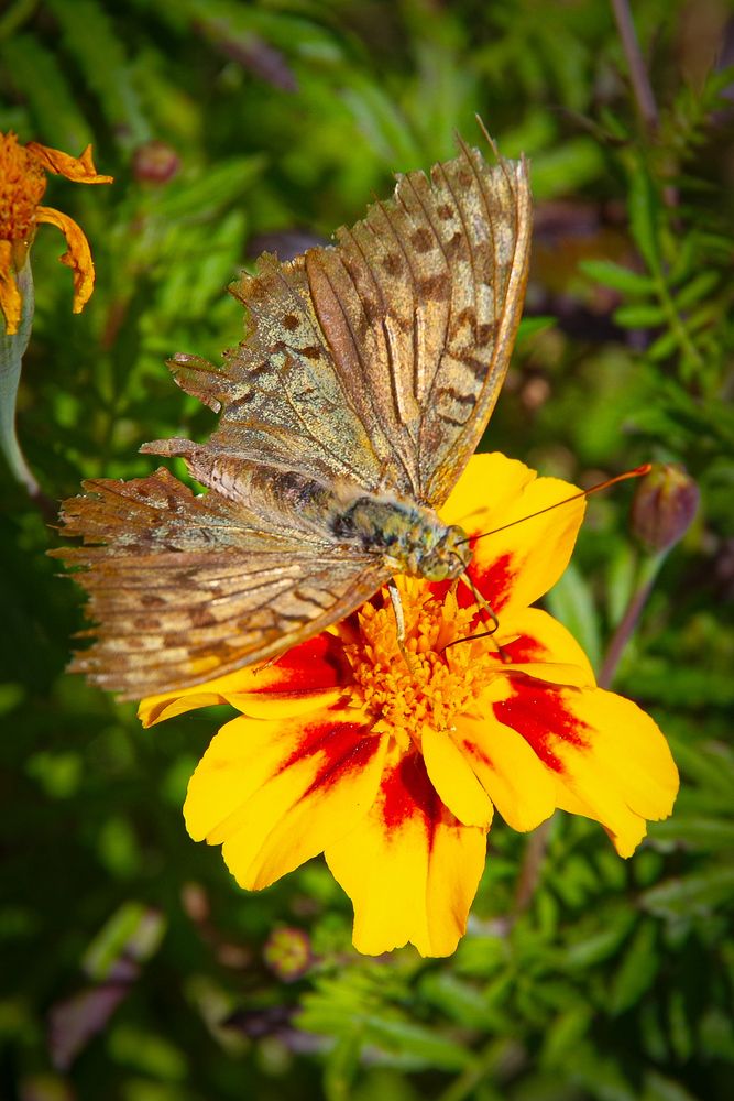 Photograph by Елена Щитова