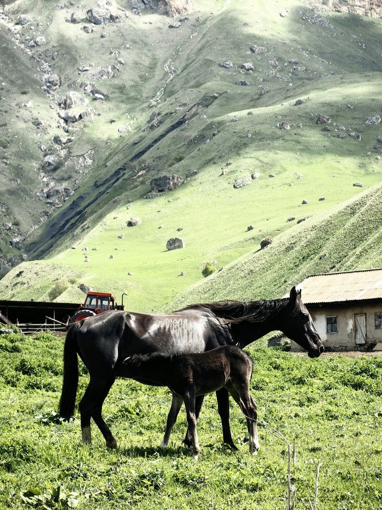 Photograph by Ярославна
