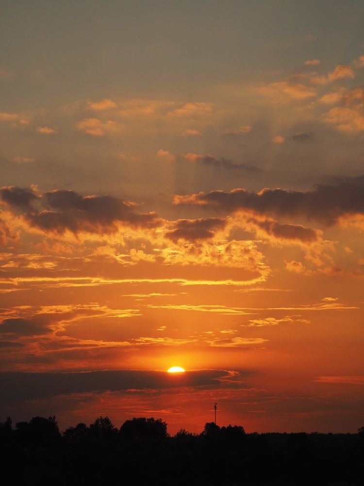 Photograph by Елена Синицына