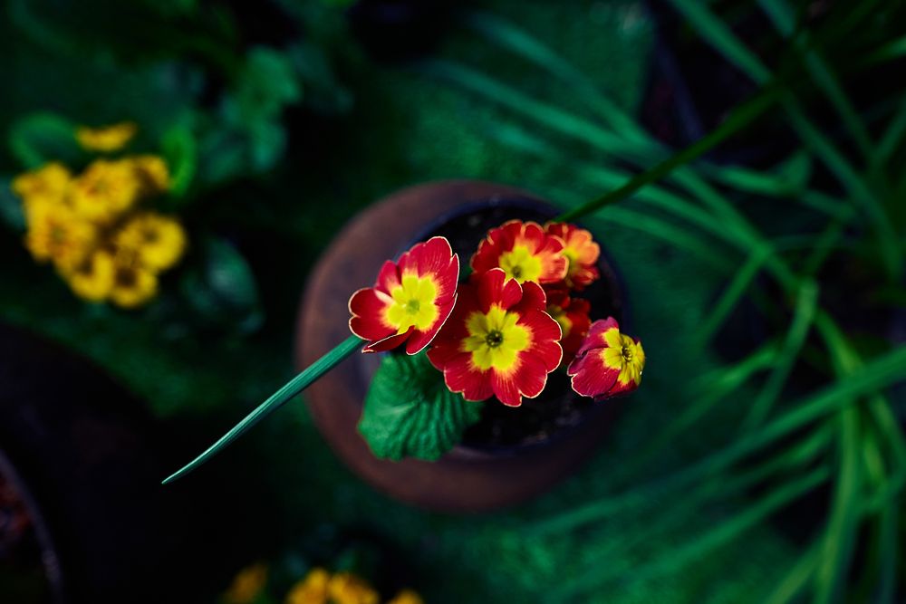 Фотография автора Инесса Иминова