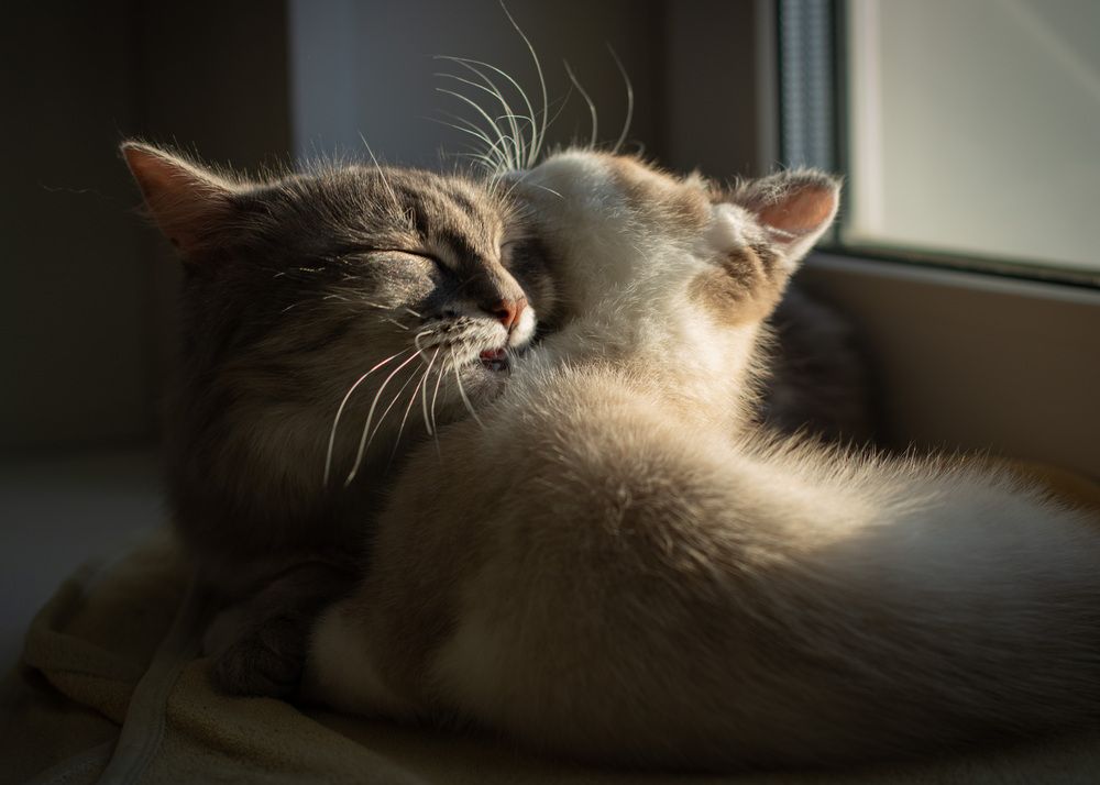 Фотография автора Марина Михайлова