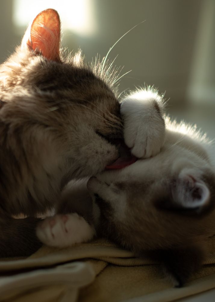 Фотография автора Марина Михайлова