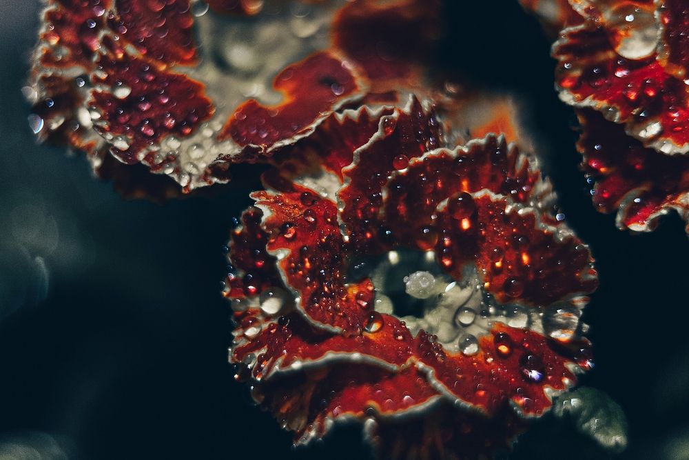Photograph by Ксения Тишина