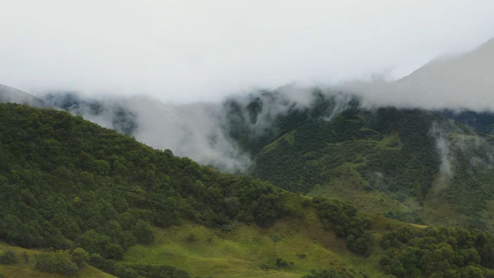 Photograph by Tharani Jaiprakash