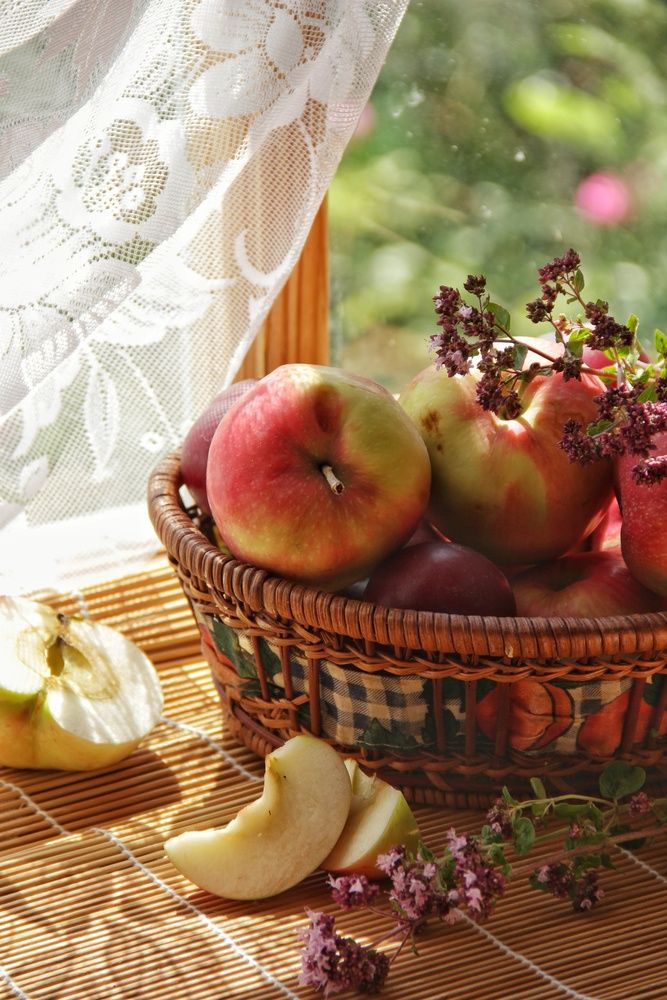 Photograph by Татьяна Зверева