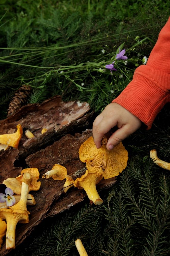 Photograph by Татьяна Зверева