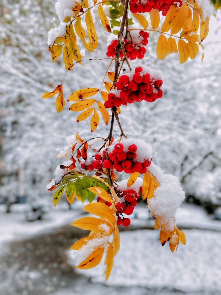 Photograph by Наталья Веряскина