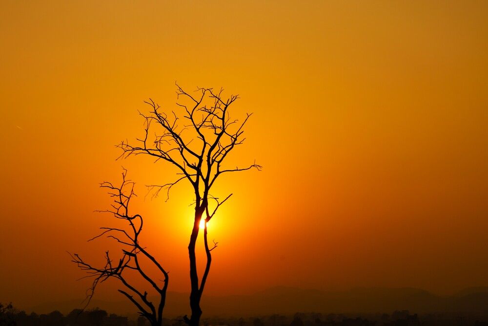 Photograph by G GOVIL