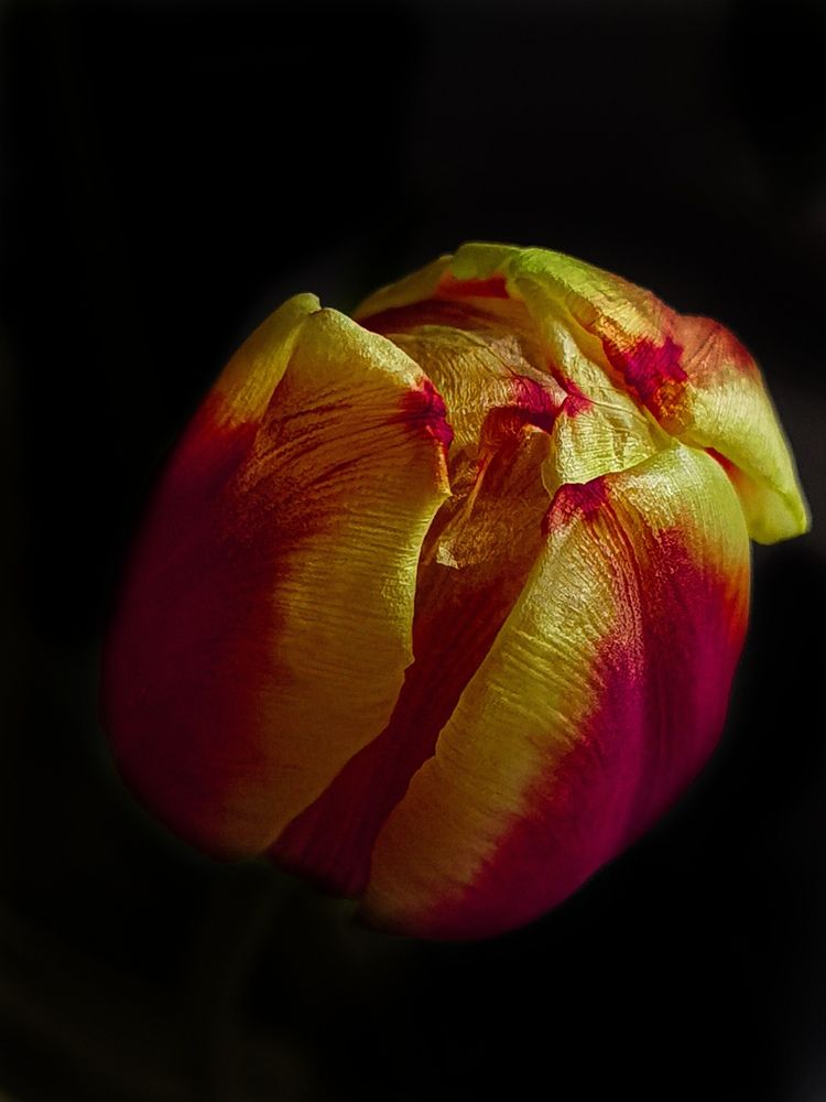 Photograph by Екатерина