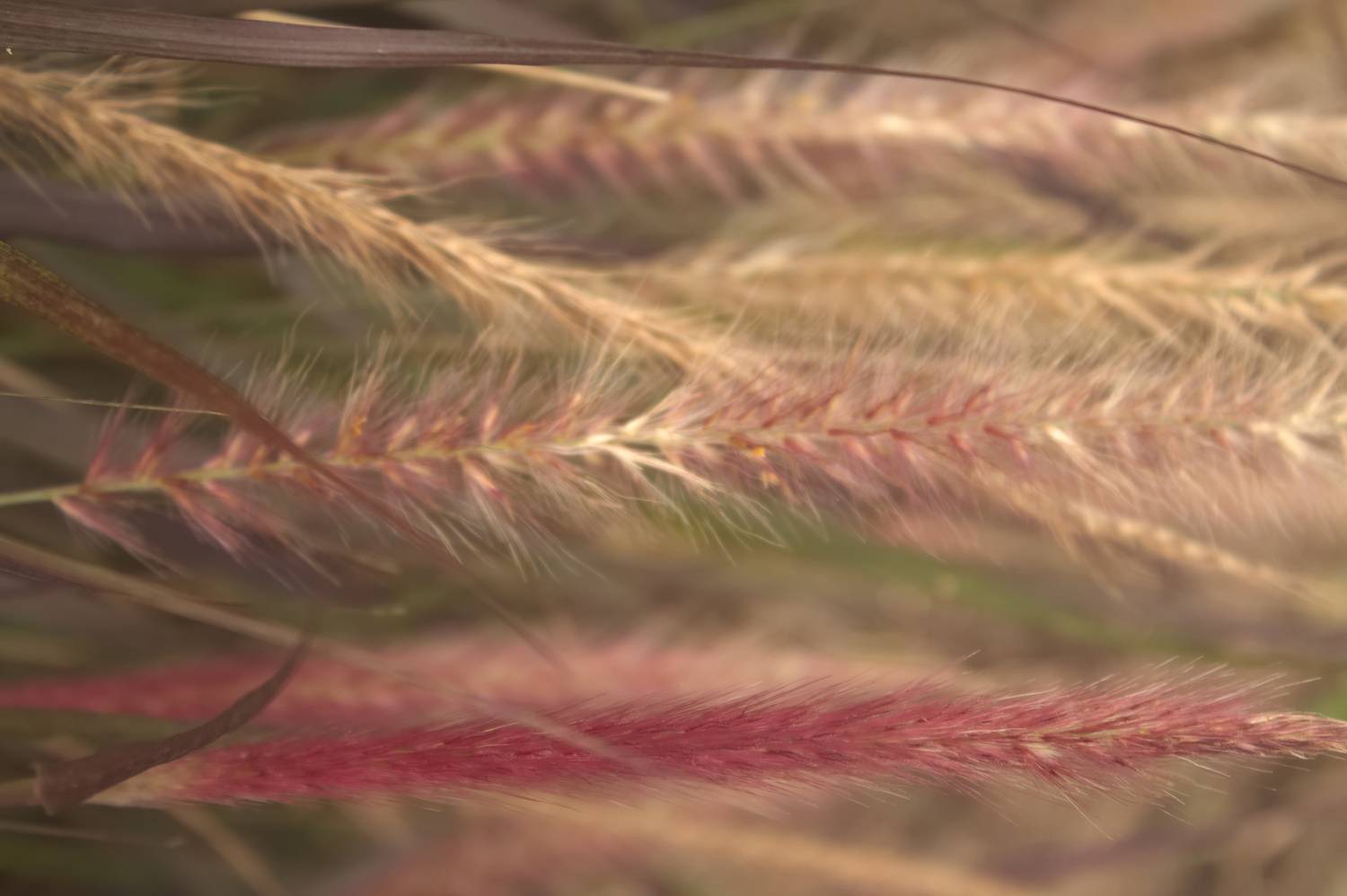 Фотография #13448249