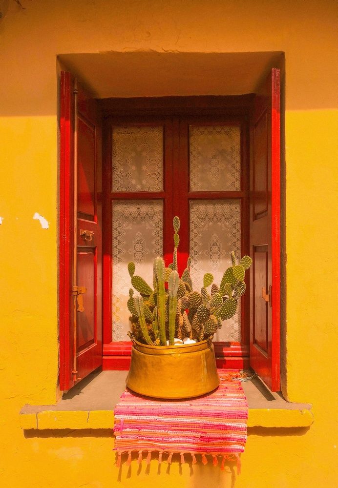 Photograph by Екатерина