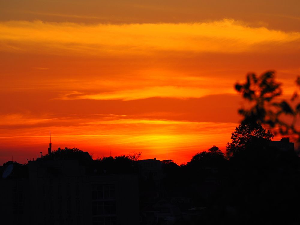 Photograph by Сергей Борисов