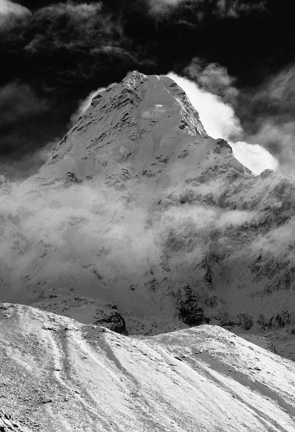 Photo #13448300