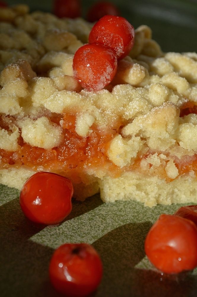 Фотография автора Оксана Шенина