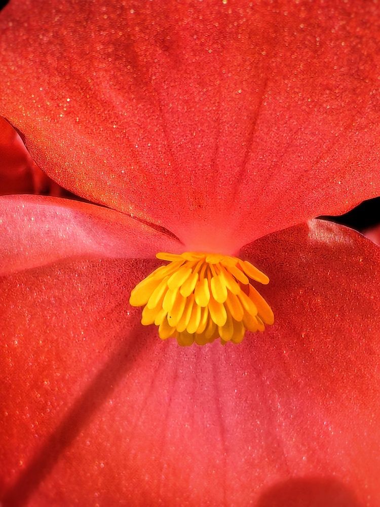 Фотография автора Оксана Шенина