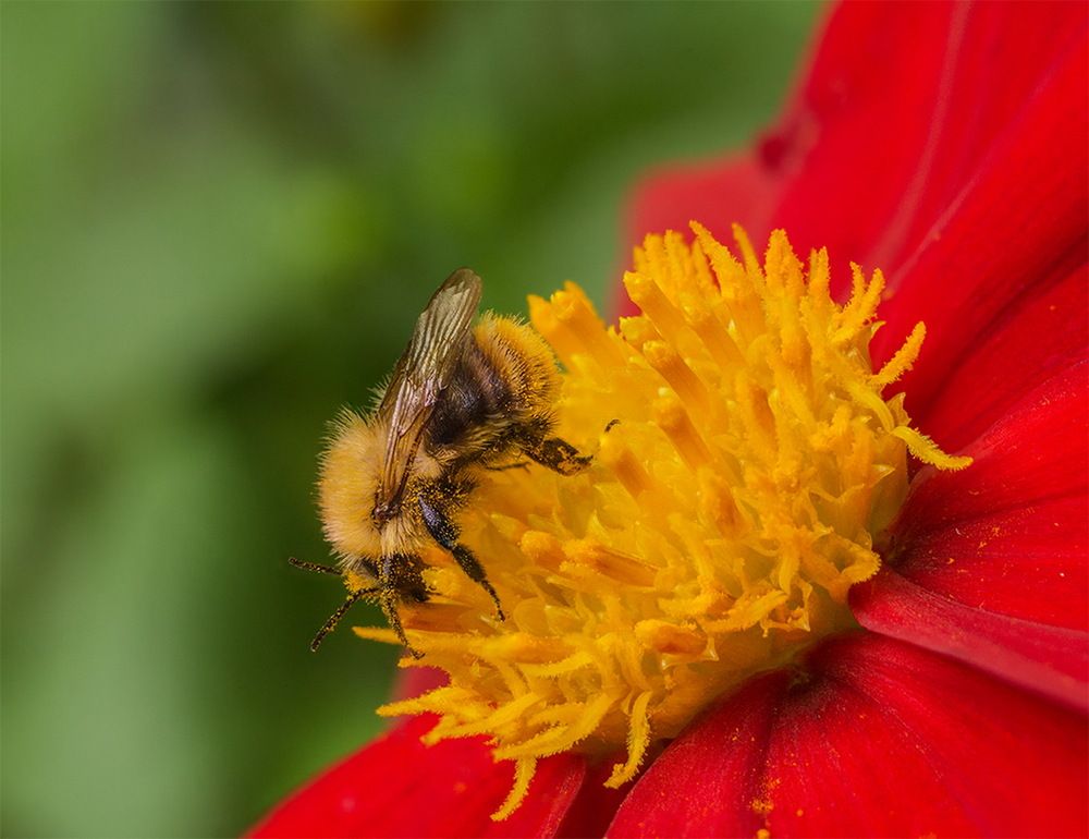 Photograph by Борис Журавлёв