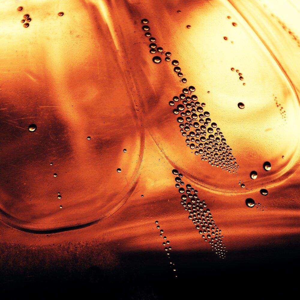 Photograph by Mila Nikolova