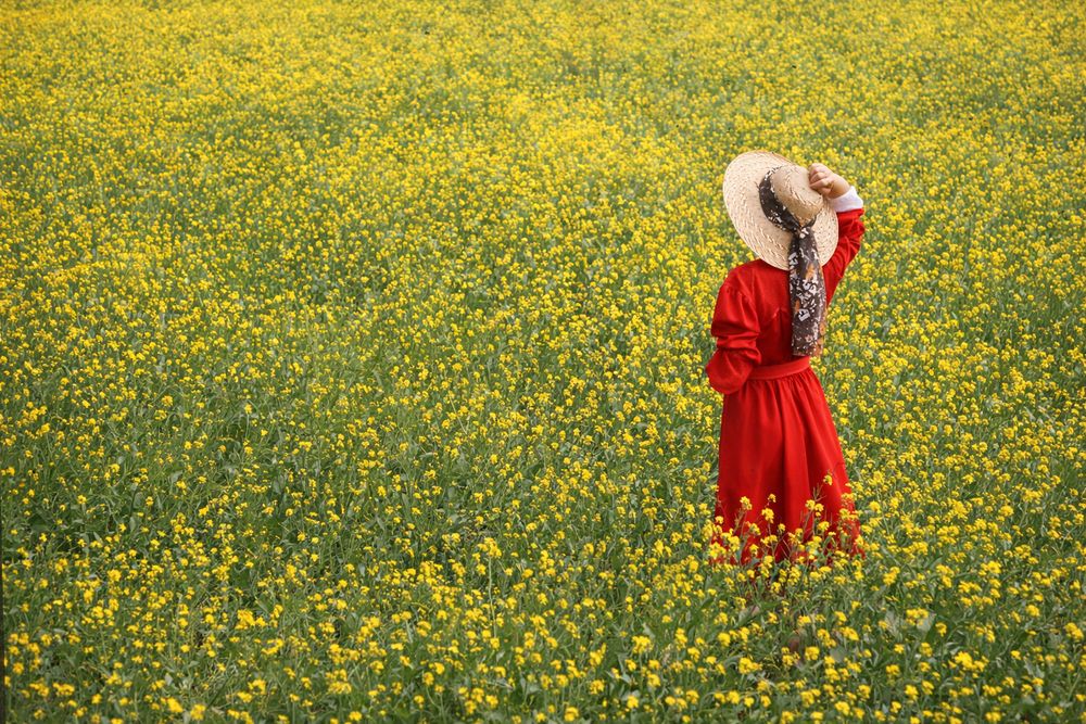 Photograph by Pancic Ivan