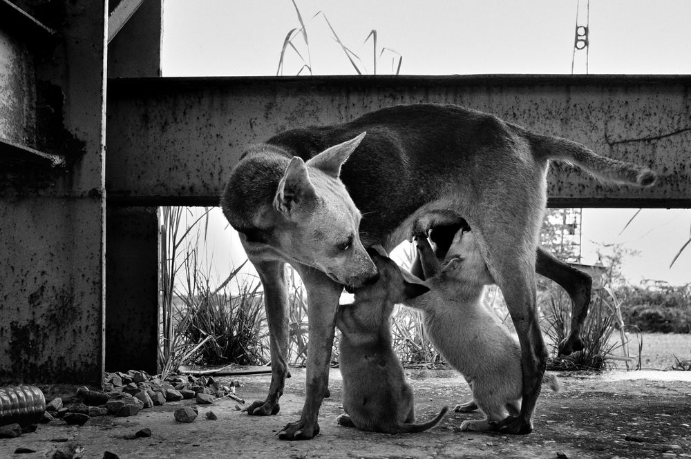 Photograph by Michael Le