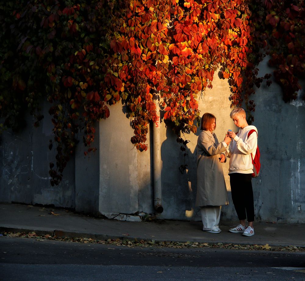 Фотография автора Елена Лаврова