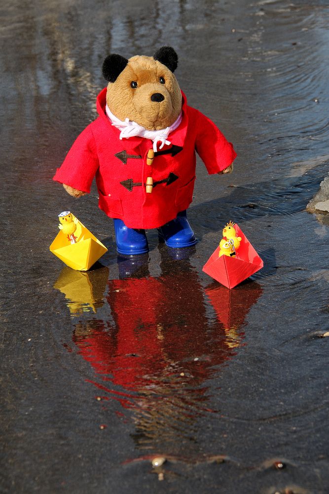 Фотография автора Елена Лаврова