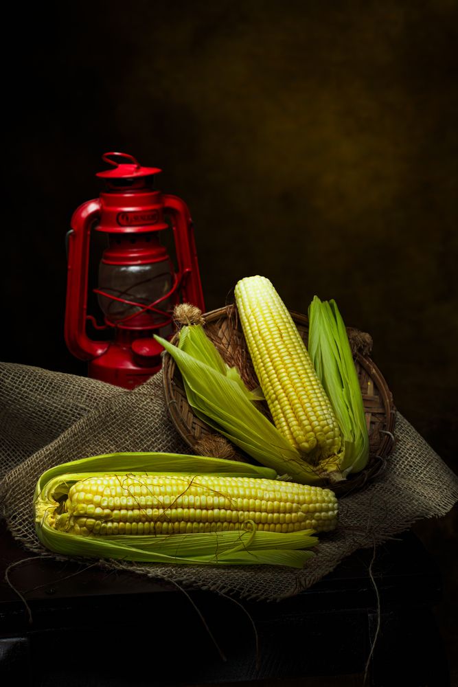 Photograph by AGUINALDO MATOS