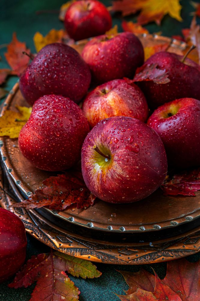 Photograph by Arina Bogachyova