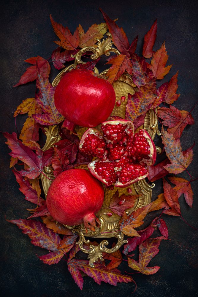 Photograph by Arina Bogachyova