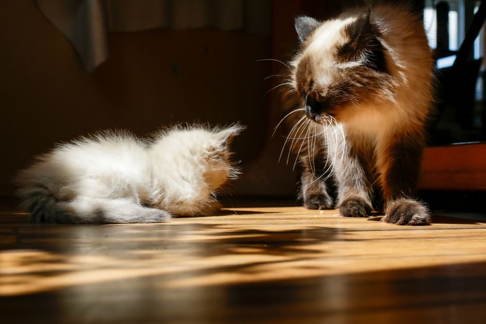 Photograph by Ирина Рыжова