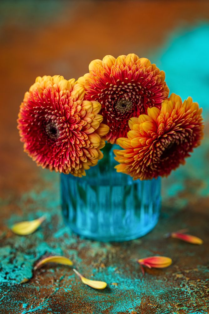 Photograph by Arina Bogachyova