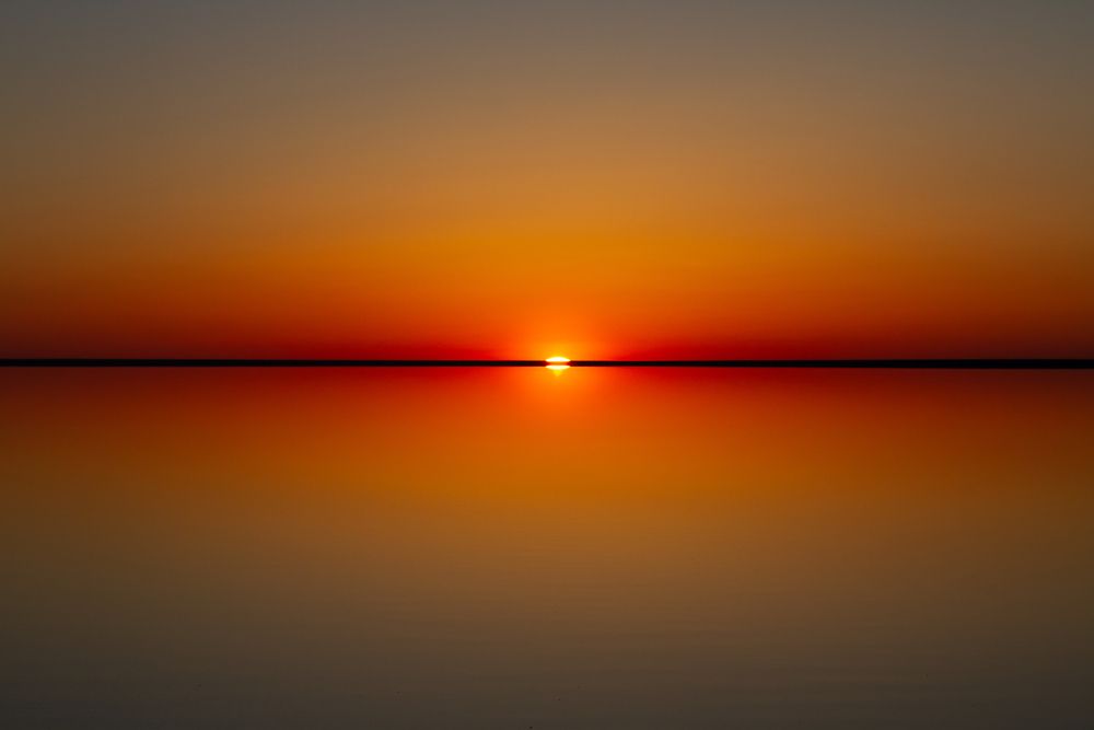 Photograph by Елена