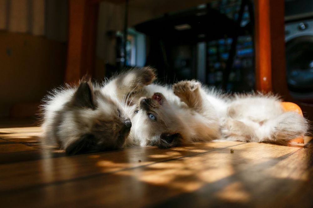Photograph by Ирина Рыжова