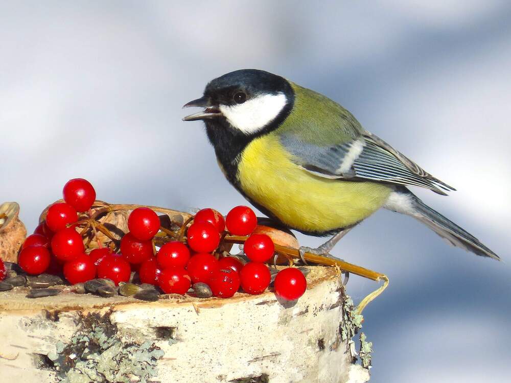 Photograph by Ольга Митрофанова