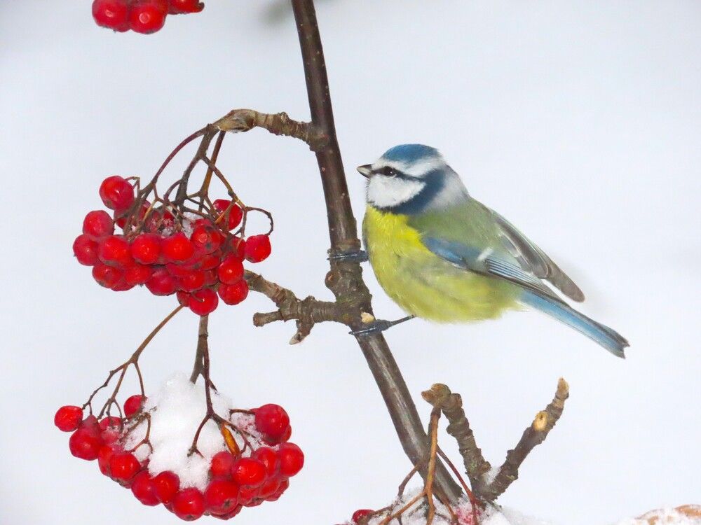Photograph by Ольга Митрофанова