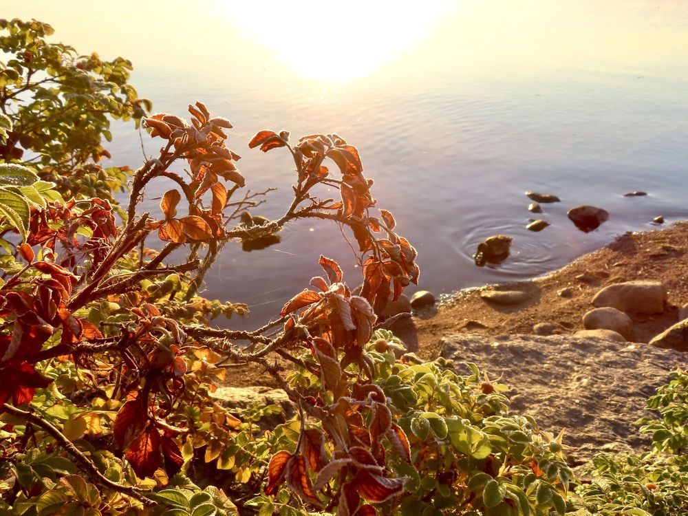 Photograph by Елена Жукова